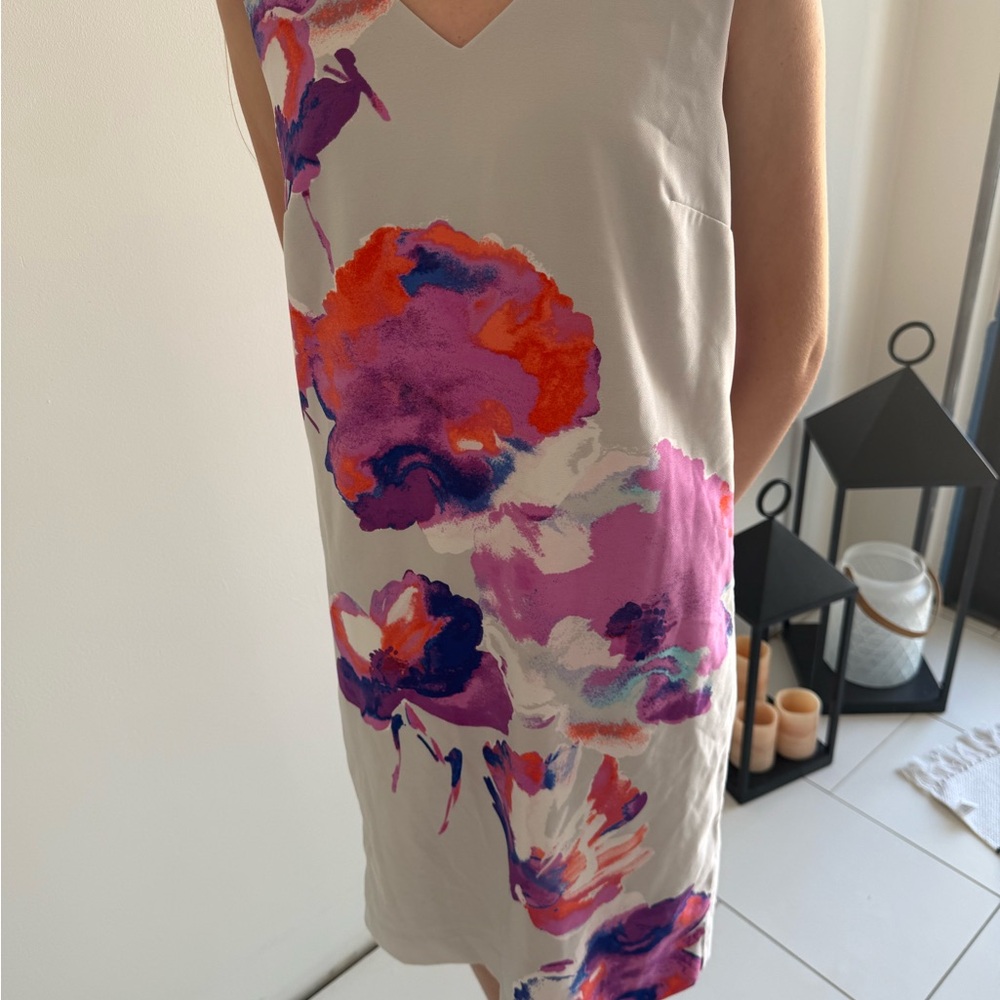 The Limited Pink and Cream Dress